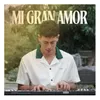 About Mi Gran Amor Song