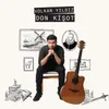 About Don Kişot Song