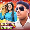 About Malwa Par Dhayanwa Song