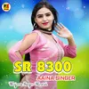 About SR 8300 Aaina Mujeem Song