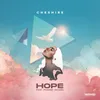 About Hope (feat. Phoebe Jacobs) Song