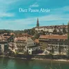 About Diez Pasos Atrás Song