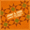 About Johnny B. Goode Song