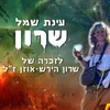 About שרון Song