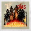 About Dias Irreparables Song