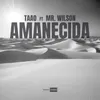 About Amanecida Song