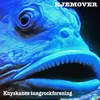 Hjemover