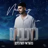 About כוכבים Song