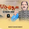 About Sehwan Jana Song