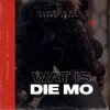 About Wat Is Die Mo Song