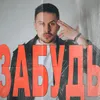 About Забудь Song