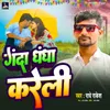 About Ganda Dhandha Kareli Song