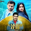 About Nakhre Tere Song