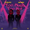 About Too Much Too Hot Song