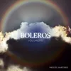 Boleros, Vol. 5