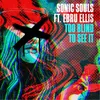 About Too Blind To See It (feat. Ebru Ellis) Song