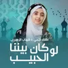 About لو كان بيننا الحبيب Song