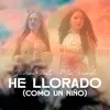 About He Llorado (Como Un Niño) Song