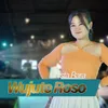 About Wujute Roso Song