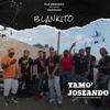 About Tamo' Joseando Song