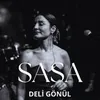 About Deli Gönül Song