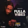 About Fulla Vibes Song