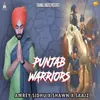 About Punjab Warriors Song