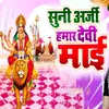 Devi Maai Aaili Mor Sherava Par Chadhike