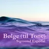 Bølge (til Tone)