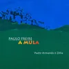 About Padre Armando e Zélia (A Mula) Song