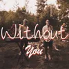 About Without You Song