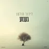 About געגוע Song