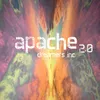 About Apache 2.0 Song
