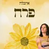 About פרח - קאבר Song