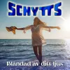 About Bländad av ditt ljus Song