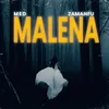 About MALENA Song