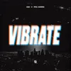 About VIBRATE Song