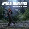 About Ayisalungiseki Song