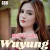 About Wuyung Song