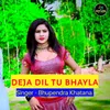 About Deja Dil Tu Bhayla Song