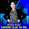 About Chhori Leja Tu Dil Song