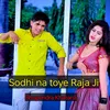 About Sodhi Na Toye Raja Ji Song