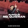 About Aunque No Quieran Song