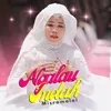 About Ngalau Indah Song