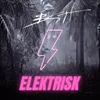 Elektrisk