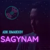 About Sagynam Song