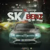 About Skate Benz Song