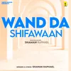 About Wand Da Shifawaan Song
