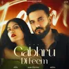 About Gabhru Di Feem Song