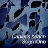 About Daniel’s beach Song